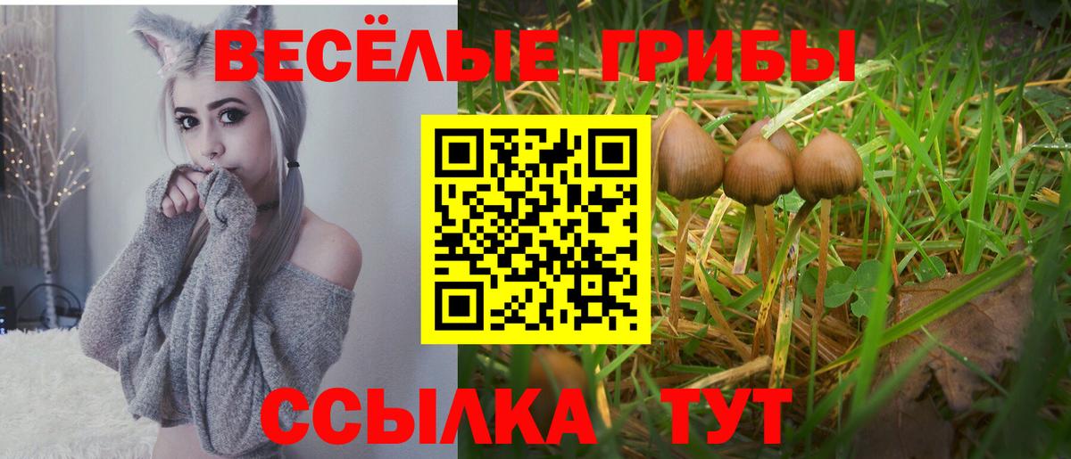 Галлюциногенные грибы прущие грибы  Псилоцибиновые грибы ЛСД  что такое   Вход с VPN  Жуковский 