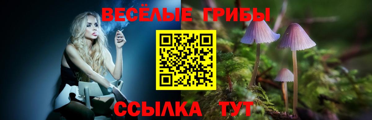 Псилоцибиновые грибы Cubensis Жуковский