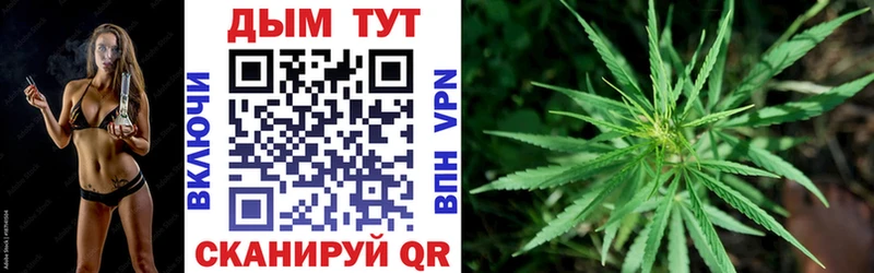 закладки Жуковский Бошки Шишки ГИДРОПОН